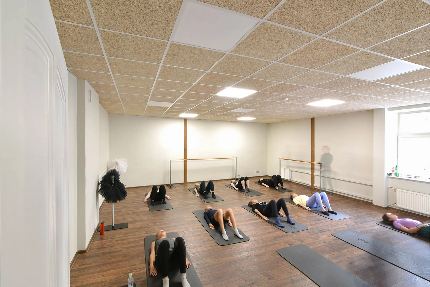 Panouri acustice pentru absorbție fonică în săli de fitness și spații sportive