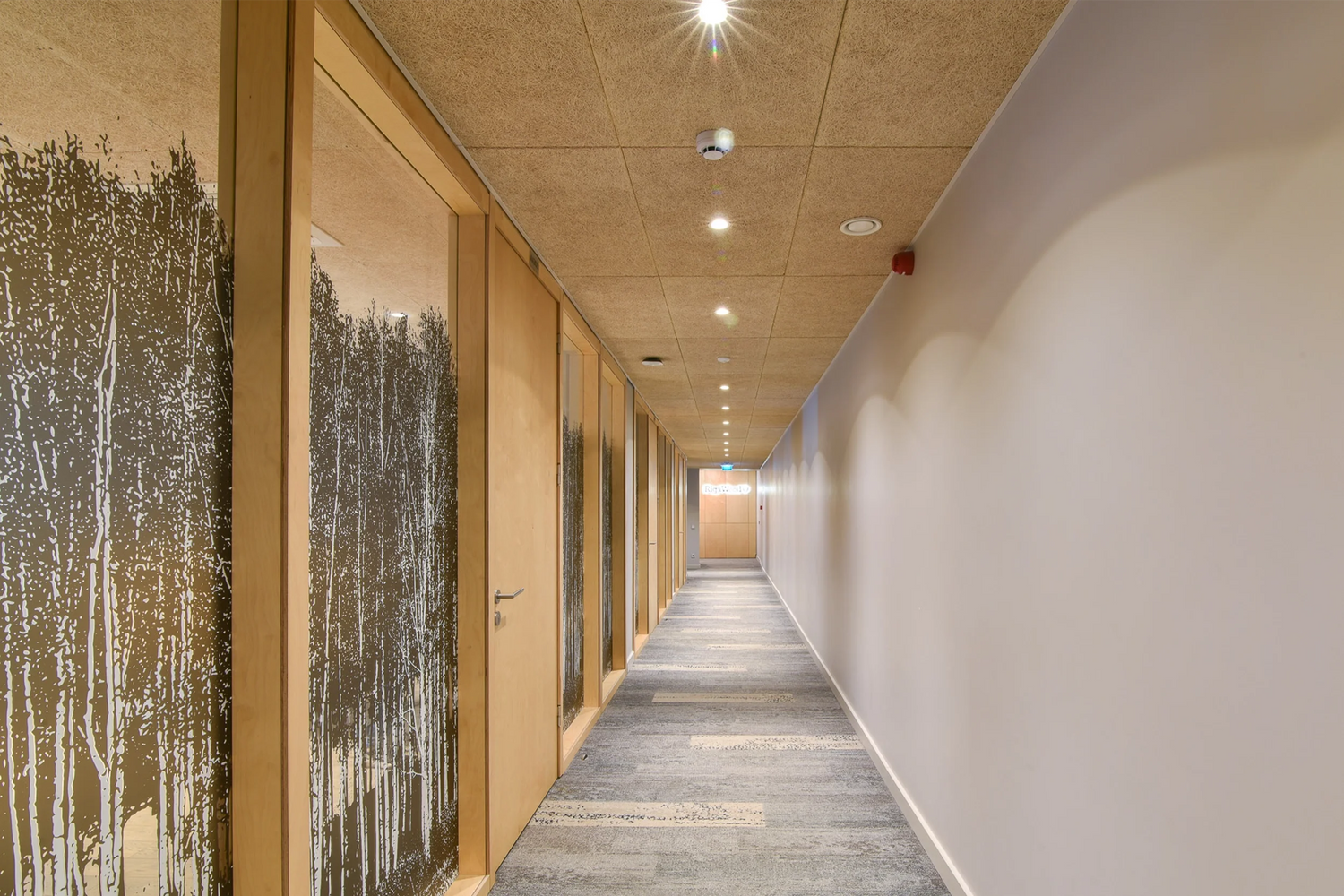 Izolare fonică pentru hotel cu panouri decorative acustice pentru pereți și tavane