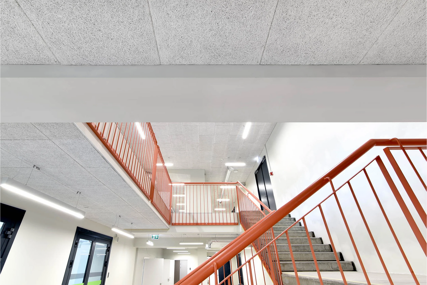 Panouri acustice decorative Cewood pentru absorbție fonică în spații interioare moderne